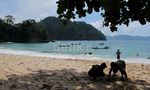 Eksotiknya Teluk Ijo di Banyuwangi