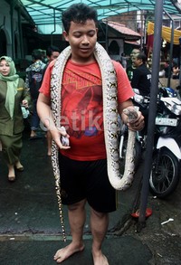Ular tersebut jadi tontonan warga yang merupakan korban banjir. Lamhot Aritonang/detikFoto.