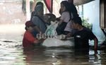 Banjir di Potogogan, Rendam Ratusan Rumah