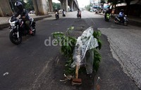 Jalan berlubang sepanjang 2 meter ini ditutupi ranting pohon oleh warga sekitar.
