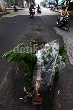 Jalan Berlubang Ancam Pengendara
