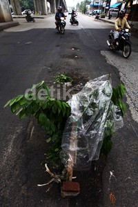 Para pemotor harus memperlambat laju kendaraanya saat melintas di jalan yang berlubang tersebut.