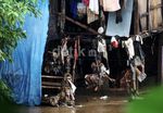 Warga Kampung Pulo Bersihkan Sisa Banjir