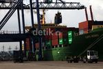 Mengintip Aktivitas Bongkar Muat di Pelabuhan Tanjung Priok