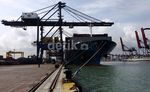 Mengintip Aktivitas Bongkar Muat di Pelabuhan Tanjung Priok