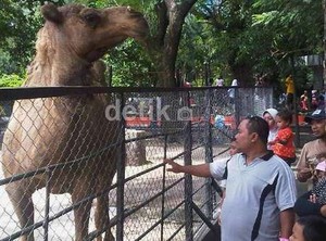 Soekarwo dan Risma akan Datangi Menhut Bahas Zoo of Death KBS
