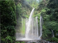 Dari air terjun Sendang Gile, wisatawan bisa beranjak ke air terjun Tiu Kelep. Kedua air terjun di kaki Gunung Rinjani ini memang sudah tersohor kecantikannya (Afif/detikTravel)