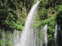 Nama Air terjun Tiu Kelep memiliki arti air terbang. Sebabnya, percikan air terjun di sana sangat banyak dan dapat Anda rasakan dari jarak 5 meter jauhnya (Afif/detikTravel)