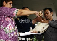Demonstran menyerahkan ayam tersebut ke KPK sebagai simbul, agar KPK berani menuntaskan kasus korupsi. Lamhot Aritonang/detikFoto.