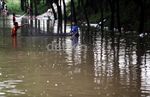 Mencari Ikan di Genangan Banjir