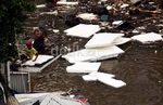 Mencari Ikan di Genangan Banjir