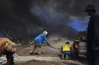 Para petani masih terlihat membersihkan abu vulkanik Gunung Sinabung. REUTERS/Beawiharta.