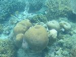 Beginilah Biru & Bersihnya Perairan Gili Trawangan