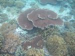 Beginilah Biru & Bersihnya Perairan Gili Trawangan