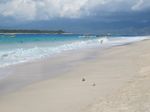 Beginilah Biru & Bersihnya Perairan Gili Trawangan