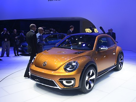 Lebih Dekat dengan Si Kodok Versi Kekar