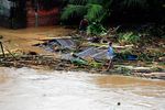 13 Orang Tewas Akibat Banjir di Sulut