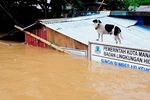 13 Orang Tewas Akibat Banjir di Sulut