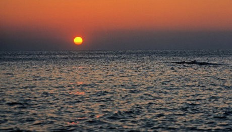 Lagi-lagi! Perahu Nelayan Jepang Tabrakan dengan Kapal Kargo, 2 Orang Tewas