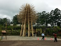 Nama Dusun Bambu sendiri diambil karena tempat ini akan menjadi tempat konservasi bambu. Saat ini, baru ada sekitar 50 jenis bambu yang telah ditanam di area Dusun Bambu dari rencananya 112 jenis (Tya/detikTravel)
