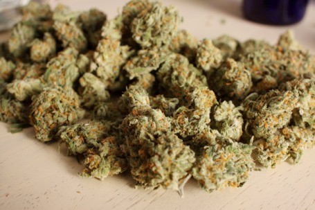Negara-negara Ini Punya Aturan untuk Konsumsi Ganja dan Plasenta (1)