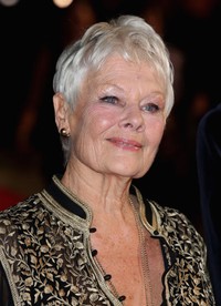     Judi Dench untuk film 'Philomena'. Tim P. Whitby/Getty Images for BFI.