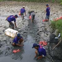 Panen Raya Kepiting di Gresik Diwarnai Aksi Curhat