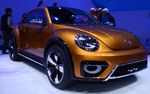 VW Beetle Versi Offroad
