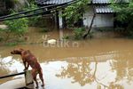 Kompleks Dosen IKIP Bekasi Banjir 2 Meter