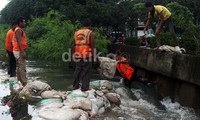Saat ini petugas dari Suku Dinas Pekerjaan Umum bekerja menutup lubang di tanggul. Sebab dikhawatirkan luapan air akan masuk ke pemukiman warga.