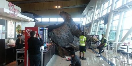 Gempa 6 3 Sr Burung Elang Trilogi Hobbit Di Bandara Wellington