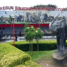 Mantan Pengurus KBS: Kekuatan Besar Itu Investor yang Mau KBS Jadi Mal dan Hotel