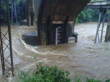 Ditetapkan Siaga 2, Ini Derasnya Air yang Membawa Ranting di Depok