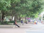 Nongkrong di Alun-alun Wonosobo, Asyik Banget!