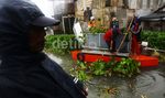Eceng Gondok di Waduk Pluit Dibersihkan