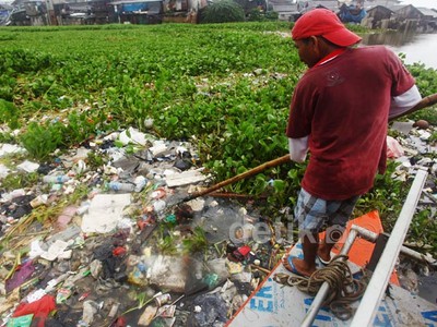 Eceng Gondok di Waduk Pluit Dibersihkan