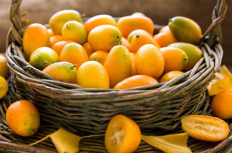 Jeruk Mandarin, Jeruk Ponkam dan Jeruk Bali Wajib Disajikan Saat Imlek
