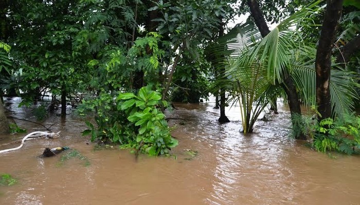 Ini Lokasi Tanggul Jebol di Tebet