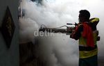 Fogging Cegah Demam Berdarah