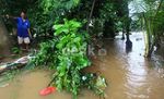Ini Tanggul di Kebon Baru yang Jebol
