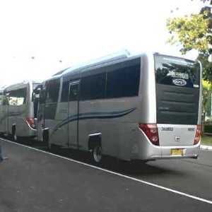 Damri Bisa Batal Jadi Angkutan Resmi Bandara Halim, Kenapa?