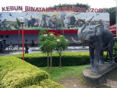 Digelontor Rp 5 Miliar Usai Ditangani Pemkot, Ini Langkah Pengelola KBS