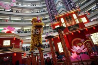 Barongsai juga unjuk gigi untuk memeriahkan perayaan Imlek.