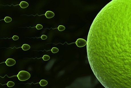 Sudahkah Anda Tahu Fakta-fakta Menarik Seputar Sperma Ini?