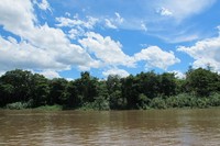 Tak hanya langit biru, Anda juga akan melihat banyak awan putih di atas langit Sungai Musi. Awan-awan putih di sana terlihat bagaikan kapas saja (Afif/detikTravel)