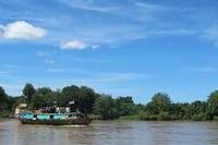 Perahu tongkang biasanya digunakan masyarakat setempat untuk mengangkut barang, baik hasil pertanian atau berbagai jenis bahan material. Aliran Sungai Musi dari Sekayu hingga Pengumbuk cukup deras (Afif/detikTravel)