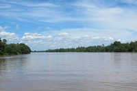 Menjelajahi Sungai Musi, Jadi kegiatan yang bisa Anda lakukan saat melancong ke Sumatera Selatan. Silakan takjub dengan sungainya yang luas dan terpana melihat langitnya (Afif/detikTravel)