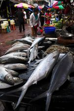 Jelang Imlek Ikan Bandeng Mulai Diburu Warga
