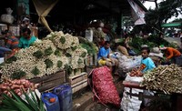 Meski demikian, pasokan sayuran di Pasar Induk Kramat Jati tetap normal.