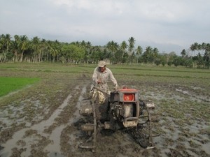 Bahraini Operator Traktor Nyaleg, Pagi Pasang Poster Malam Cabut Kembali